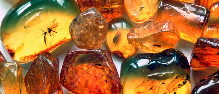 Amber Taşı