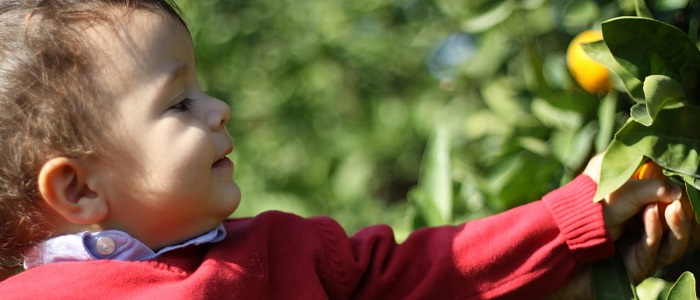 Besin Zehirlenmesinden Korunma Yolları