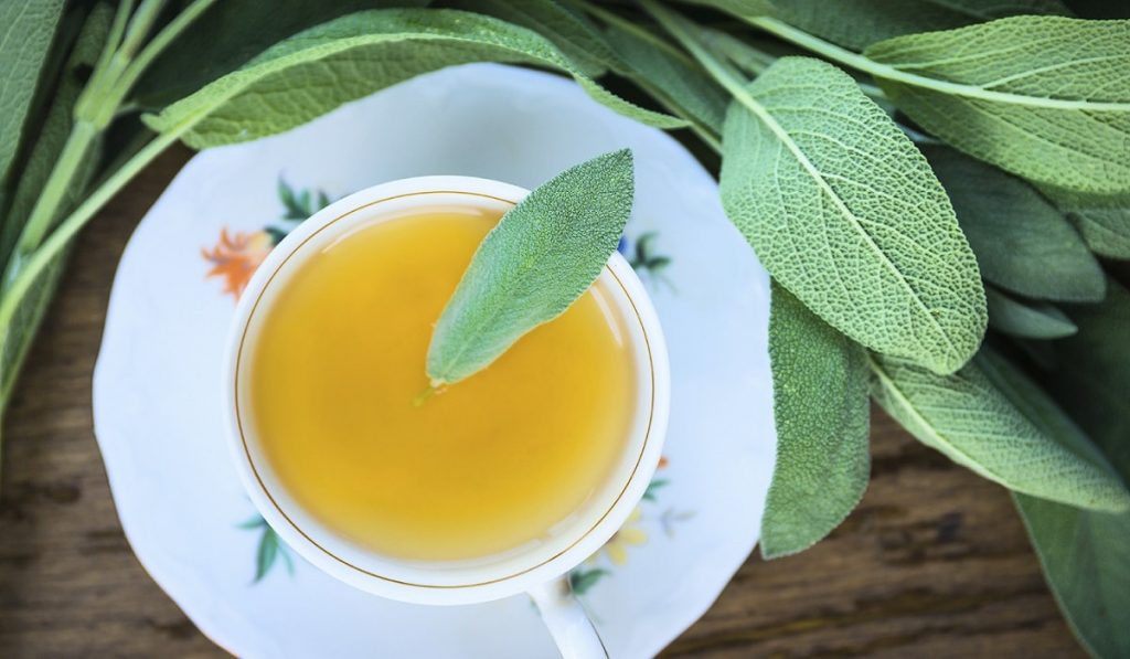 Adaçayı Nedir? Nasıl Kullanılır? Faydaları ve Yan Etkileri Nelerdir?