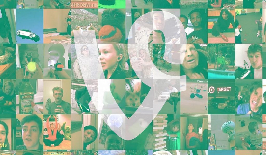 Vine Nedir? Nasıl Kullanılır? Ne İşe Yarar?