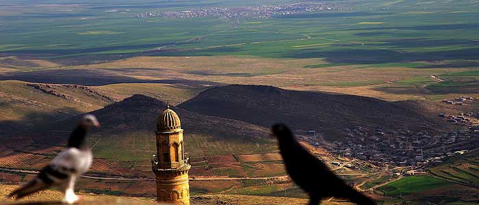 Babil’in Asma Bahçeleri Nerededir?