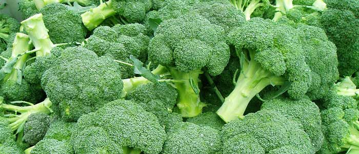 Brokoli Nedir?