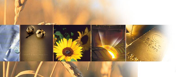 Emtia Çeşitleri Nelerdir?