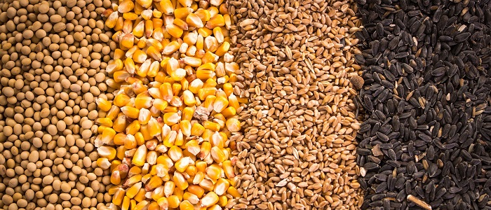 En Basit Tanımıyla Emtia Nedir?