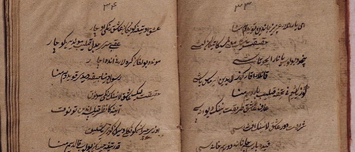 Gazelin Özellikleri Nelerdir?