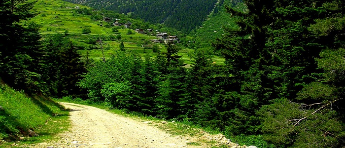 Karadeniz İklimi
