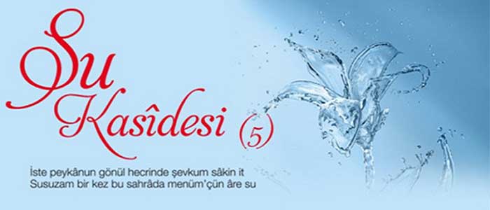 Kasidenin Özellikleri Nelerdir?