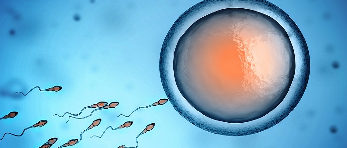 Kısırlığın Nedenleri (Sebepleri) Nelerdir?