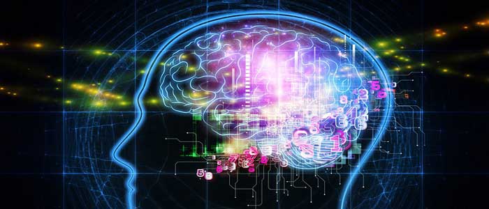 Öğrenme Türleri Nelerdir?