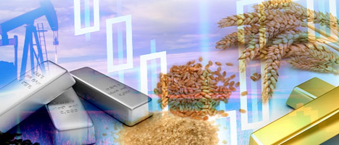 Örnek Emtia Yatırımı İşlemleri