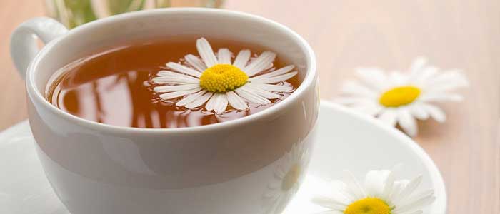 Papatya Çayı Nedir? Nasıl Hazırlanır?