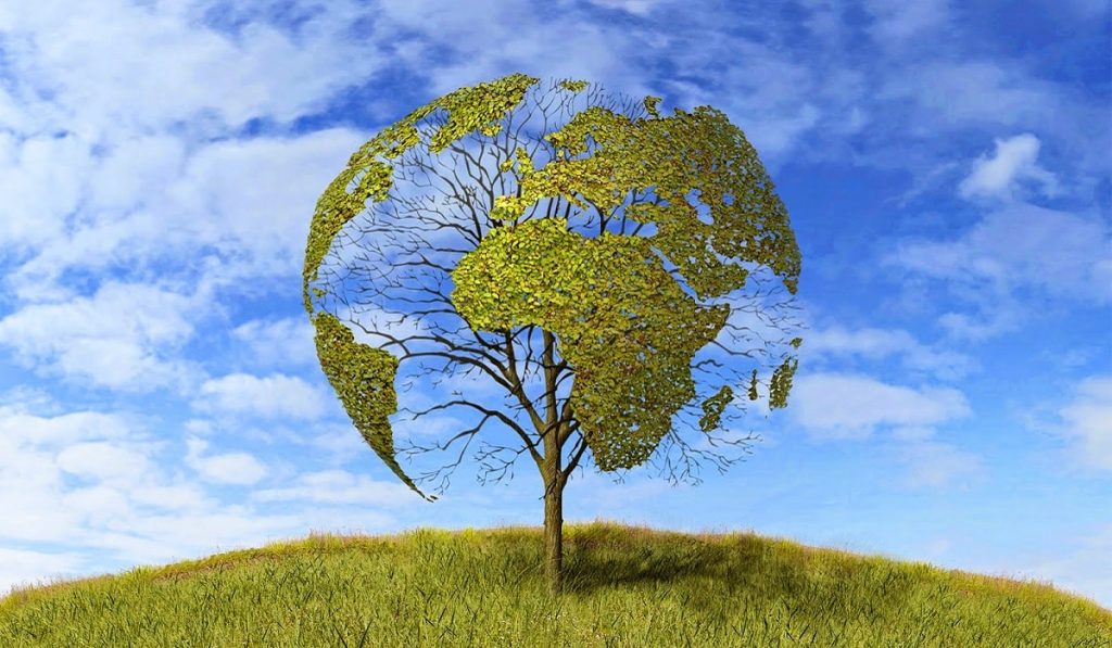 Türkiye’de İklim Tipleri ve Özellikleri