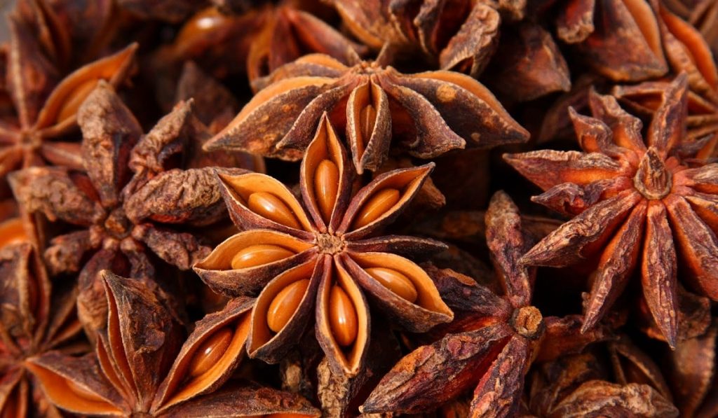 Anason Nedir? Nasıl Kullanılır? Faydaları ve Yan Etkileri Nelerdir?