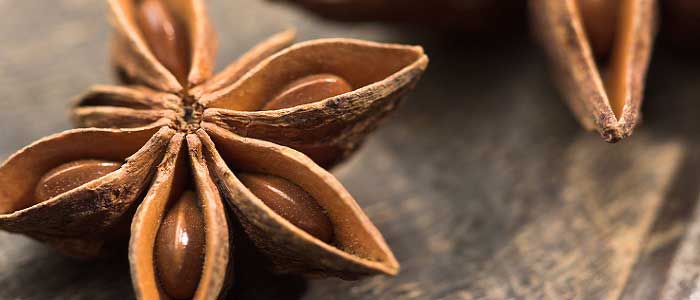 Anasonun Faydaları Nelerdir?