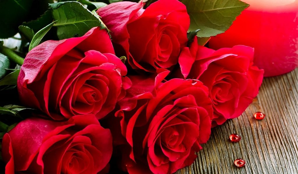 Gül Nedir? Çeşitleri ve Özellikleri Nelerdir?