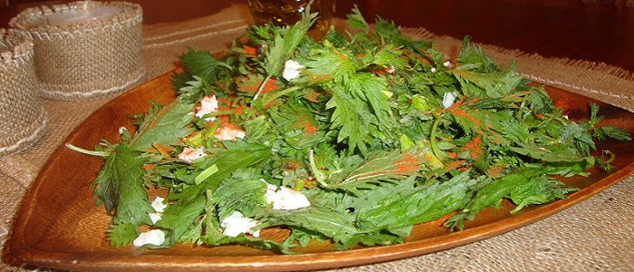 Isırgan Otu Nasıl Kullanılır?