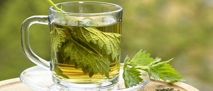 Isırgan Otunun Faydaları Nelerdir?