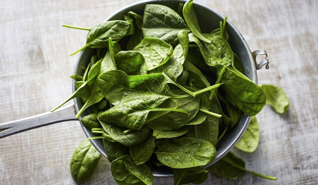 Ispanak Nedir? Özellikleri ve Faydaları Nelerdir?