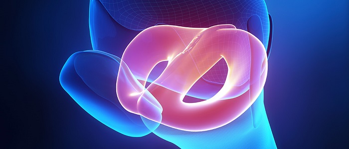 Menisküs Tedavi Yöntemleri Nelerdir?