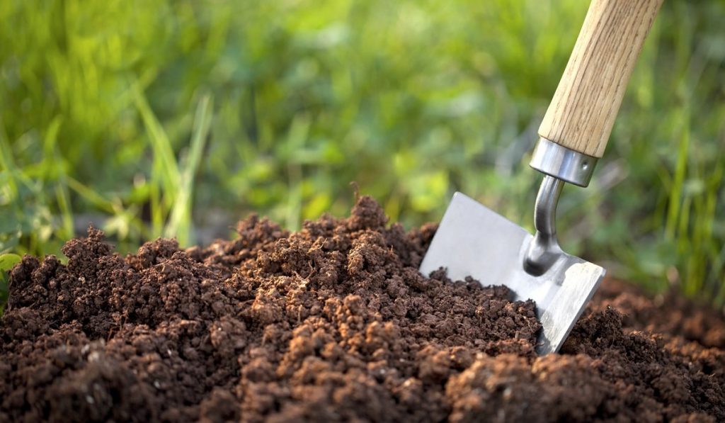 Toprak Nasıl Oluşur? Katmanları ve Türkiye’de Görülen Çeşitleri Nelerdir?