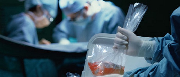 Organ Bağışı Nereye Yapılır?