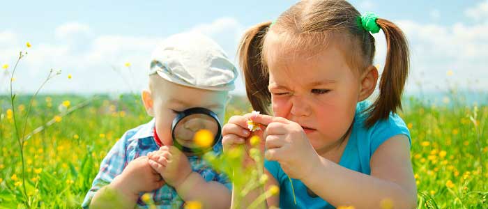 Organik Tarımın Önemi Nedir?
