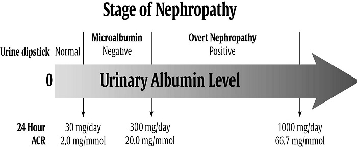 Albümin Hastalığı Nedir?
