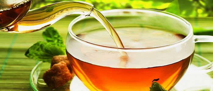 Aslanpençesi Bitkisi Nasıl Kullanılır?