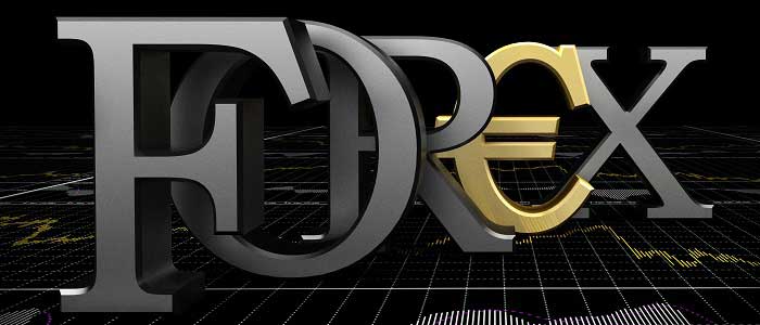 Bilgi ve Deneyim Kazanın