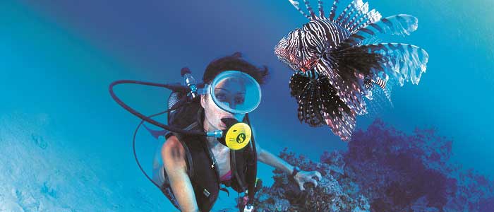 Hobinin Faydaları Nelerdir?