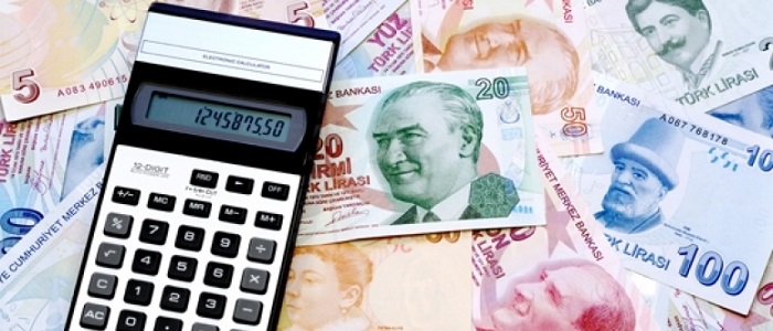 Kredi Kullanım Durumunuzu Kontrol Edin