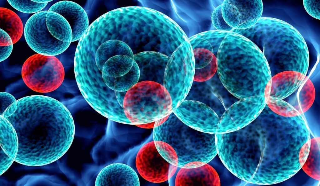 Lösemi (Kan Kanseri) Nedir? Nedenleri, Belirtileri, Korunma Yolları ve Tedavisi