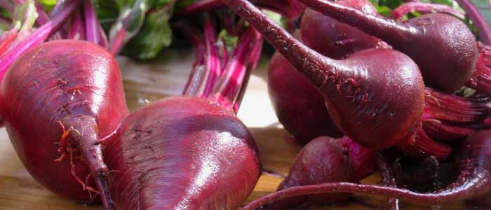 Pancarın Özellikleri Nelerdir?