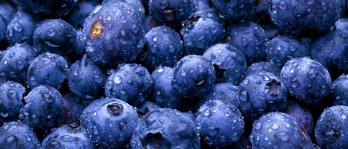 Yaban Mersini Nedir?