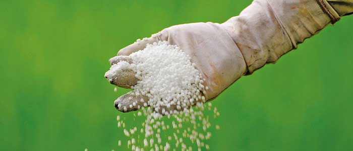 Kükürdün Kullanım Alanları Nelerdir?