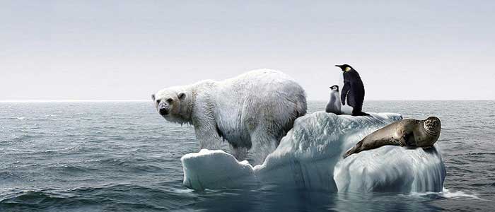 Küresel Isınma Nedir?