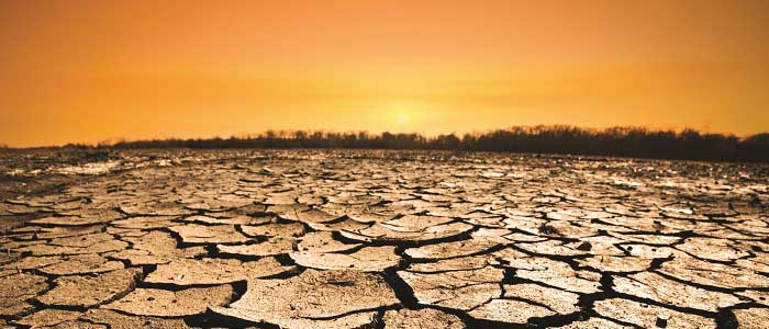 Küresel Isınmanın Sonuçları Nelerdir?