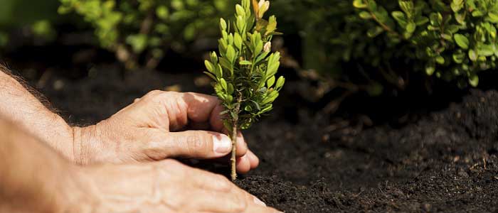 Küresel Isınmaya Karşı Alınacak Önlemler Nelerdir?