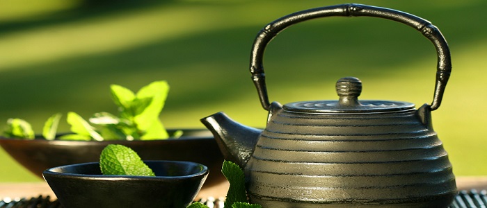 Melisa Bitkisi Nasıl Kullanılır?