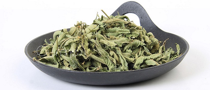 Melisa Bitkisinin Yan Etkileri Nelerdir?