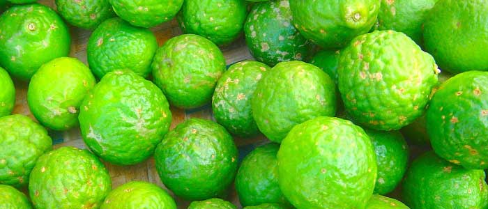 Bergamot Nedir?