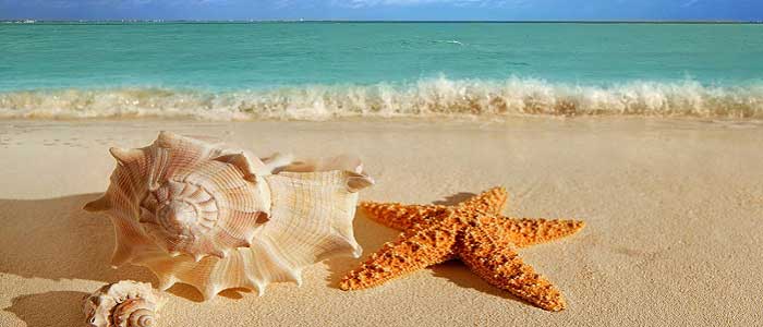 Coastal Stili Dekorasyon Nedir?