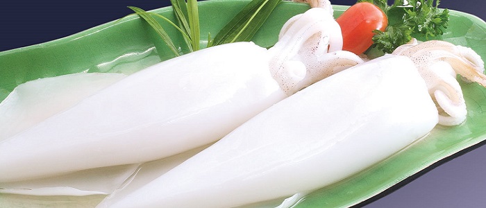 Kalamarın Türleri Nelerdir?