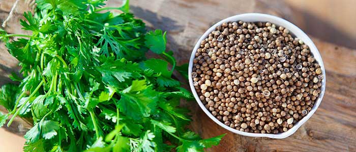 Kişnişin Yan Etkileri Nelerdir?