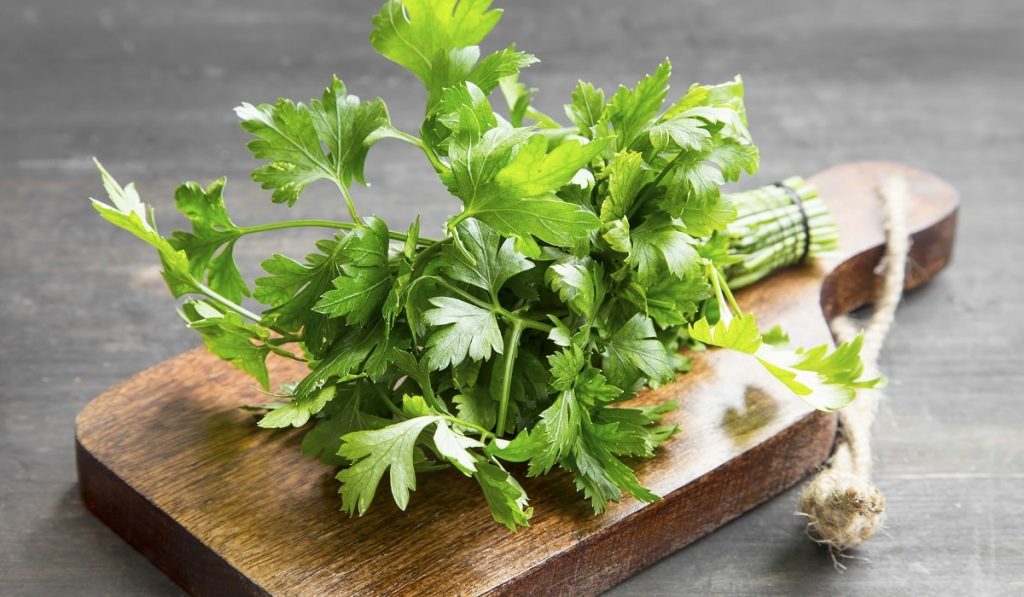 Maydanoz Nedir? Çeşitleri, Özellikleri ve Faydaları Nelerdir?