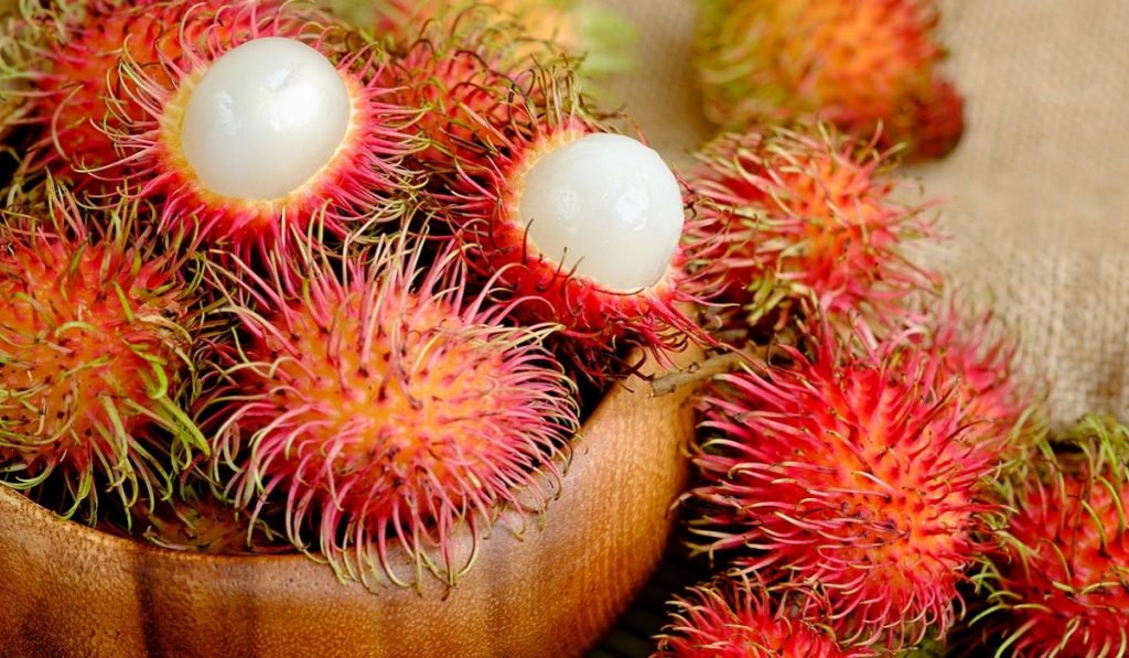 Rambutan Nedir? Özellikleri ve Faydaları Nelerdir?