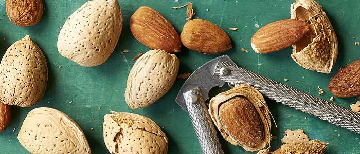 Bademin Çeşitleri Nelerdir?