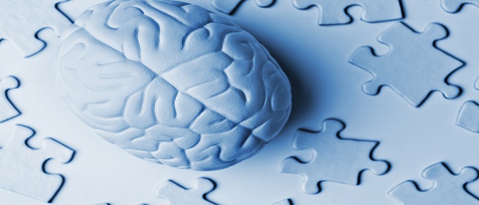 Puzzle'ın Faydaları Nelerdir?