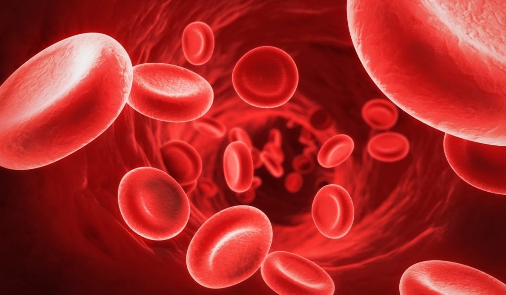 Anemi (Kansızlık) Nedir? Nedenleri, Belirtileri, Korunma Yolları ve Tedavisi