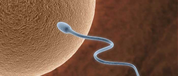 Dış (Ektopik) Gebelik Nedir?